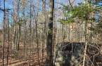 Land/Lot