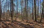Land/Lot