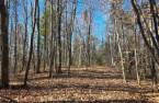 Land/Lot