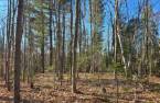 Land/Lot
