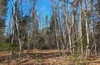 Land/Lot