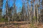 Terre/Terrain