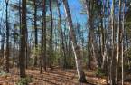 Land/Lot