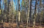Terre/Terrain
