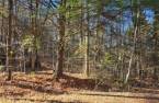 Land/Lot