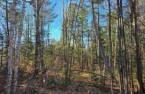 Land/Lot