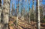 Land/Lot