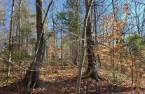 Land/Lot