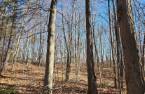 Land/Lot