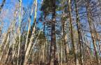 Land/Lot