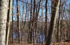 Land/Lot