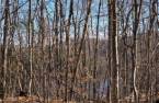 Land/Lot