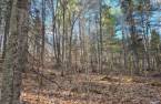 Land/Lot