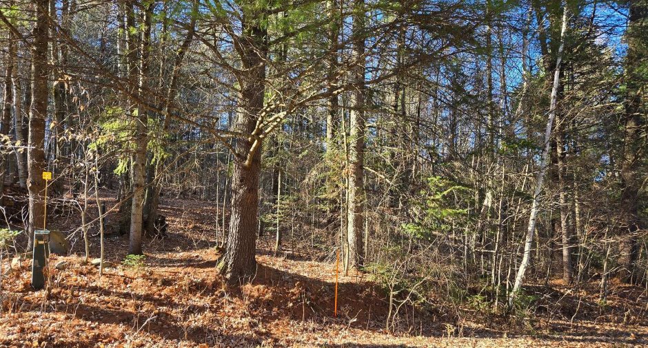 Terre/Terrain