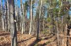 Land/Lot