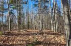 Land/Lot