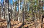 Terre/Terrain