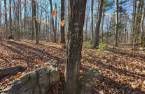 Land/Lot