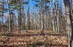 Terre/Terrain