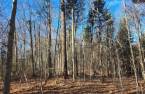Land/Lot