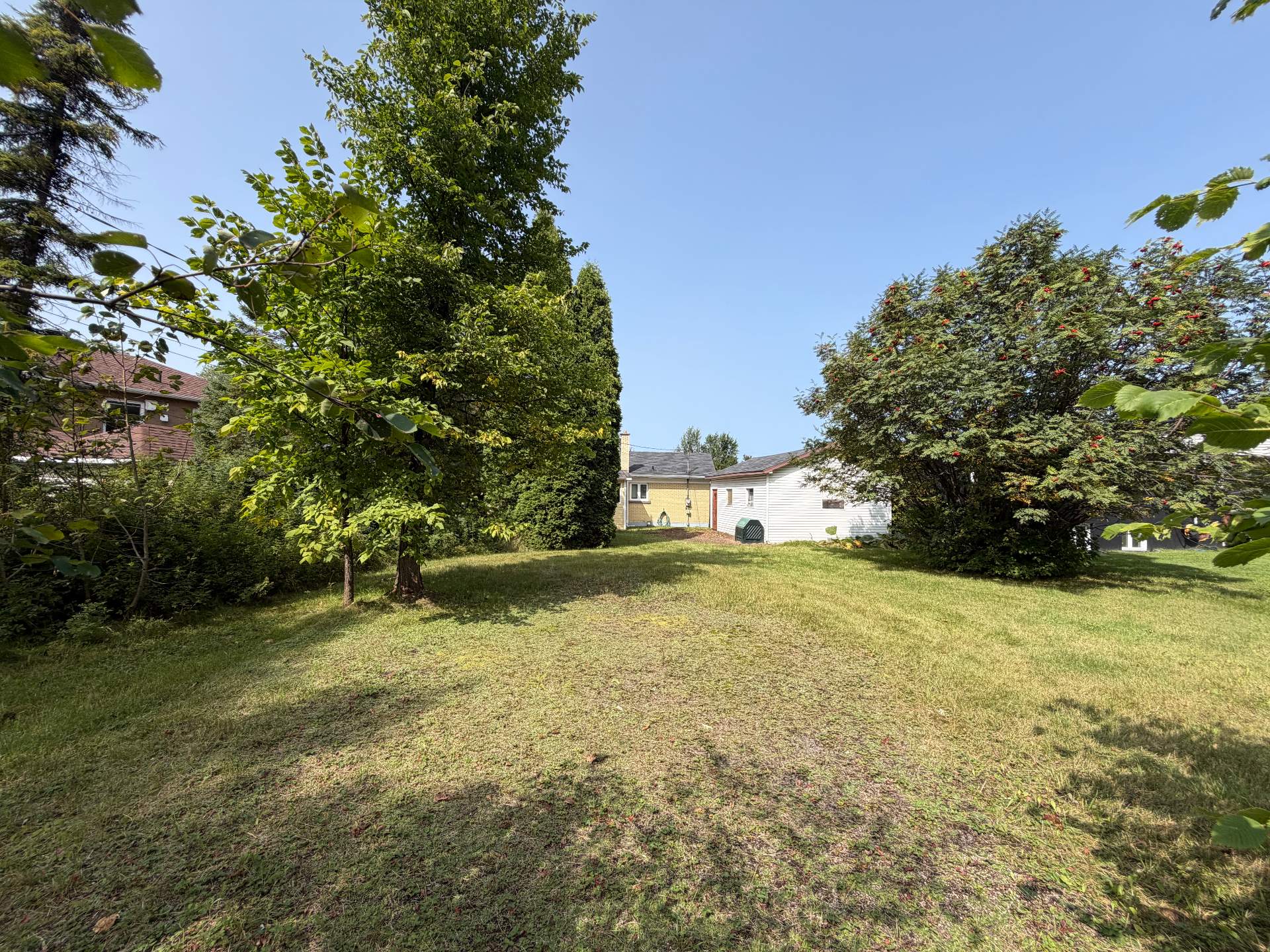 2649 Rue Juchereau — photo 3
