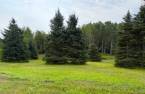 Terre/Terrain
