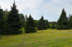 Terre/Terrain