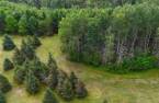 Terre/Terrain