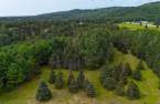 Terre/Terrain