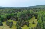 Terre/Terrain