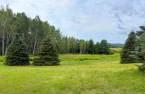Terre/Terrain