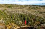 Terre/Terrain