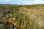 Terre/Terrain