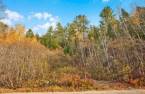 Terre/Terrain