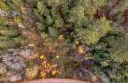 Terre/Terrain