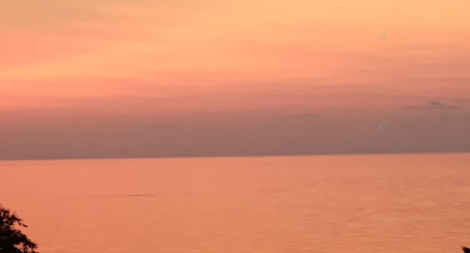 Vue sur l'eau