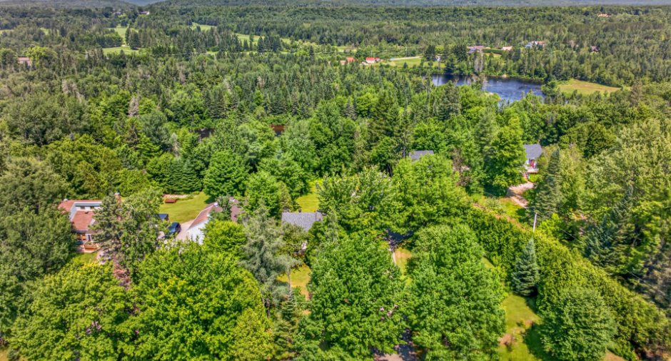 Aerial photo