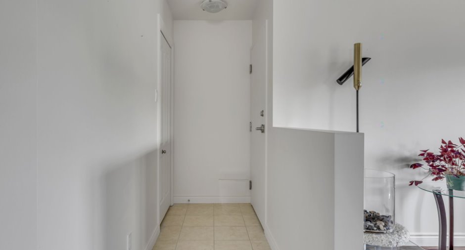 Hall d’entrée/Vestibule