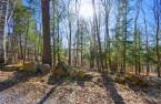 Land/Lot