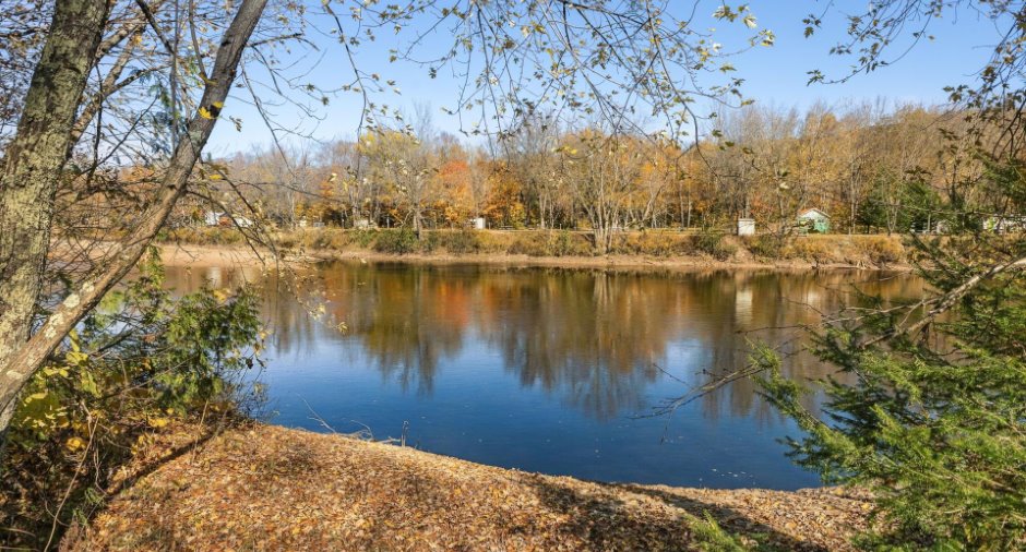 Bord de l'eau