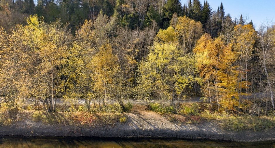 Bord de l'eau