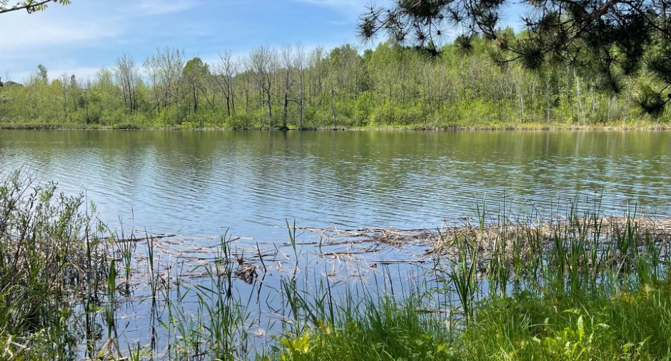 Accès au plan d'eau