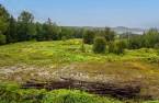 Terre/Terrain