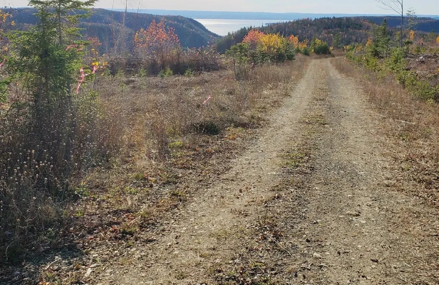 Land/Lot
