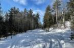 Land/Lot