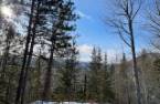 Land/Lot
