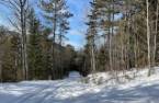 Land/Lot