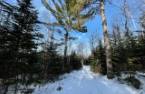 Land/Lot