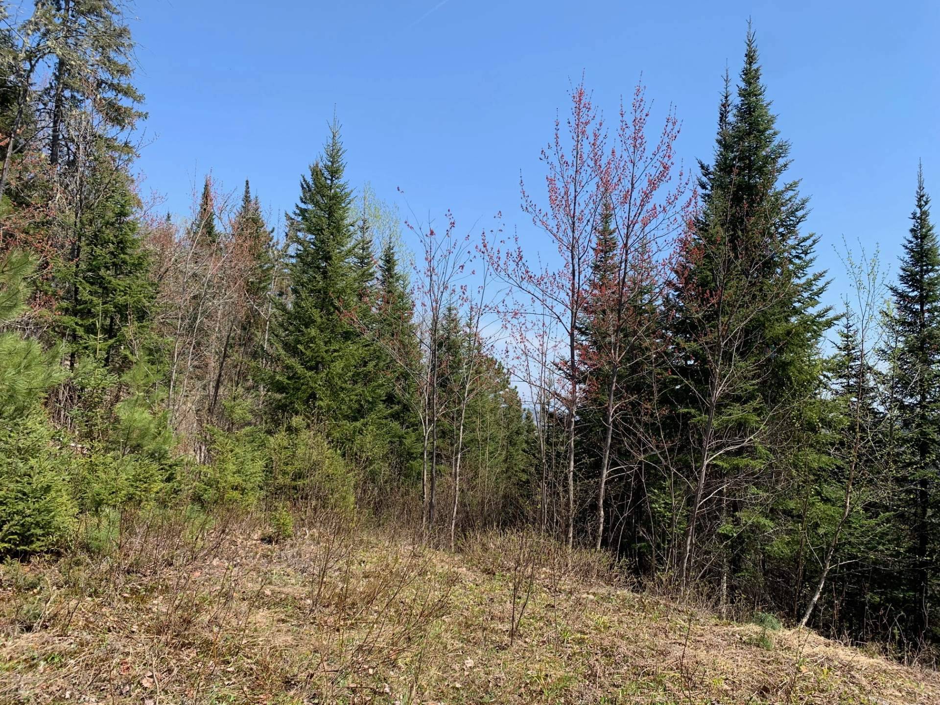 Ch. de la Croix — photo 3
