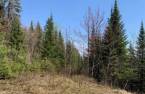 Land/Lot